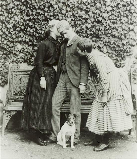 Appraisal: A Group of Three Color Photographs depicting Various Dog Breeds