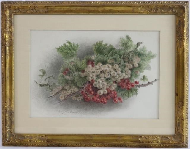 Appraisal: MARY ANNE BROWNE TH CENTURY WATERCOLOR OFGRAPES SIGHT SIZE X