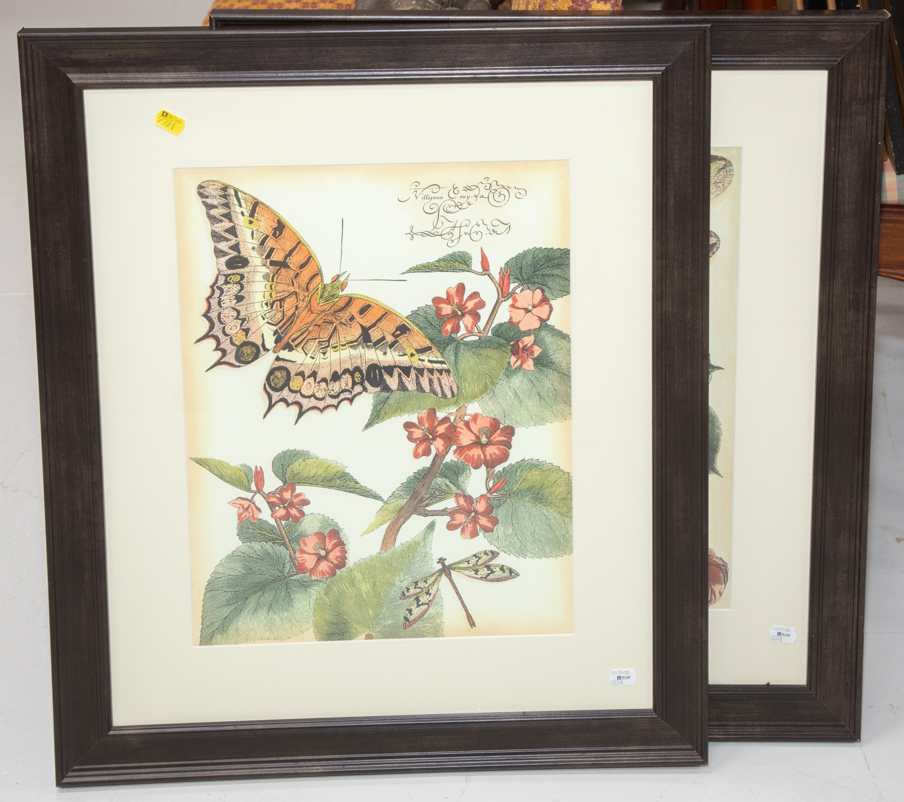 Appraisal: A PAIR OF FRAMED NATURE PRINTS