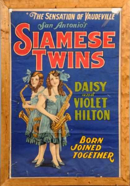 Appraisal: Siamese Twins Daisy Violet Hilton Paper Poster Description Rare early