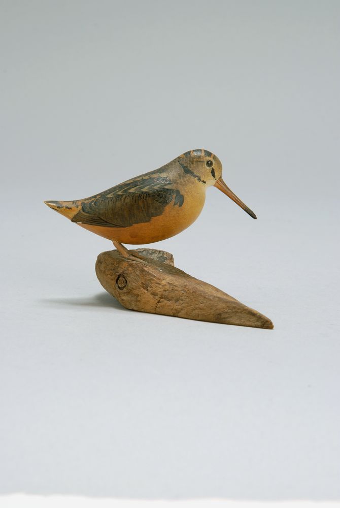 Appraisal: EXCEPTIONAL MINIATURE WOODCOCK By Robert Morse Glass eyes Mounted on