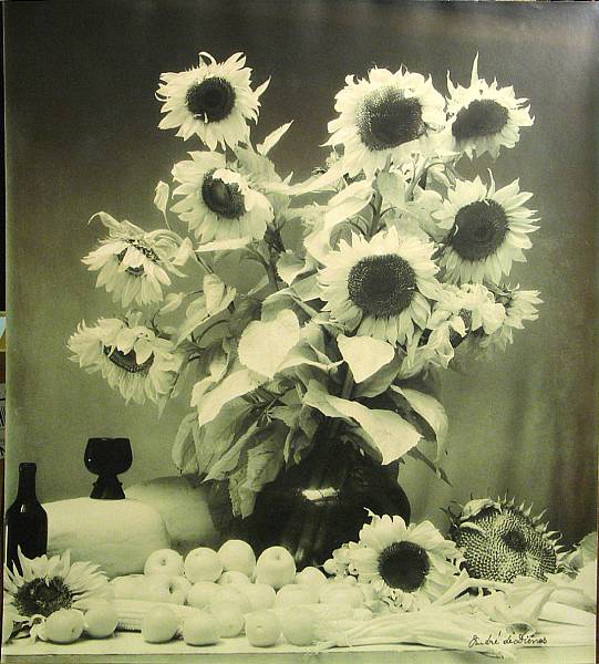 Appraisal: Andre de Dienes American - Sunflowers n d Toned gelatin