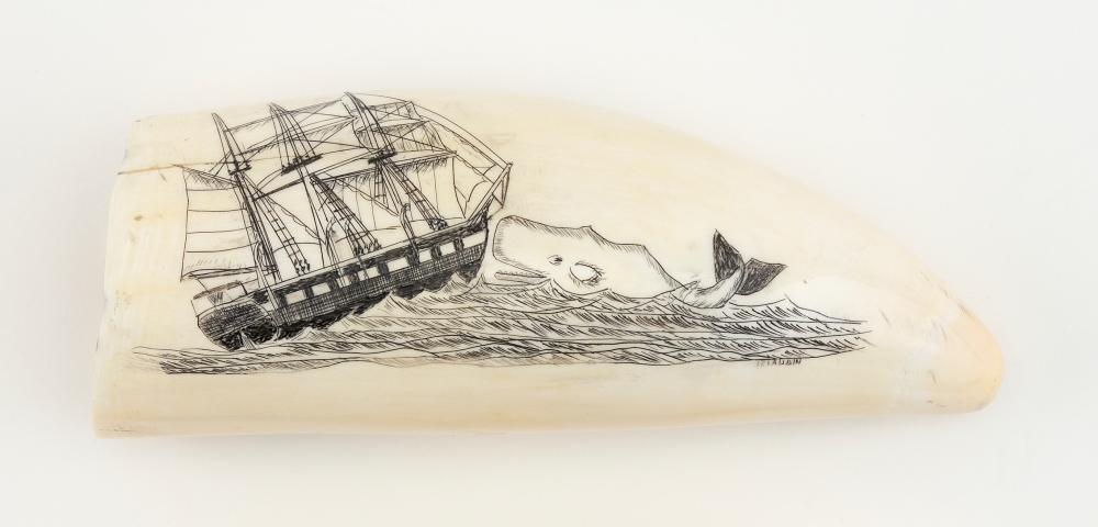 Appraisal: ENGRAVED WHALE'S TOOTH BY J R LAUBIN DEPICTING MOBY DICK