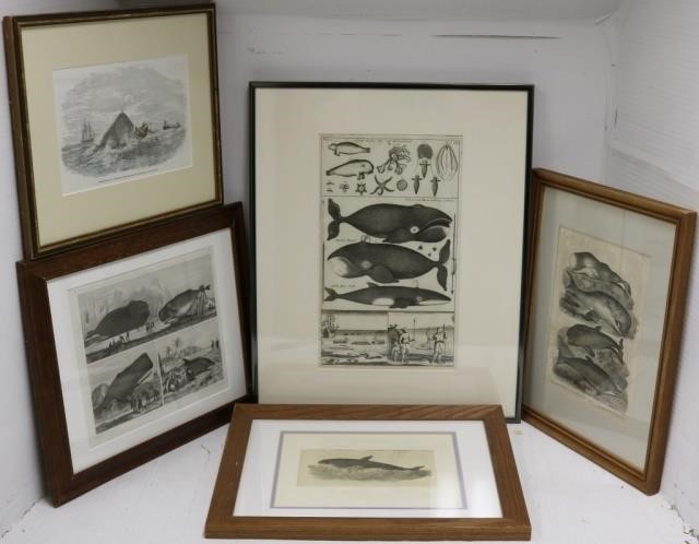 Appraisal: WHALING ENGRAVINGS TH C VARIOUS SIZES TO HIGH TO WIDE