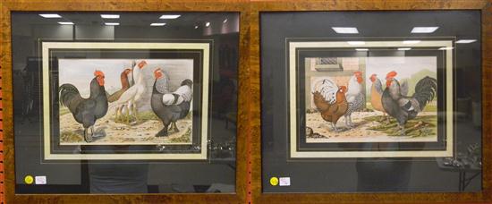 Appraisal: Two late th early th C color lithograph of roosters