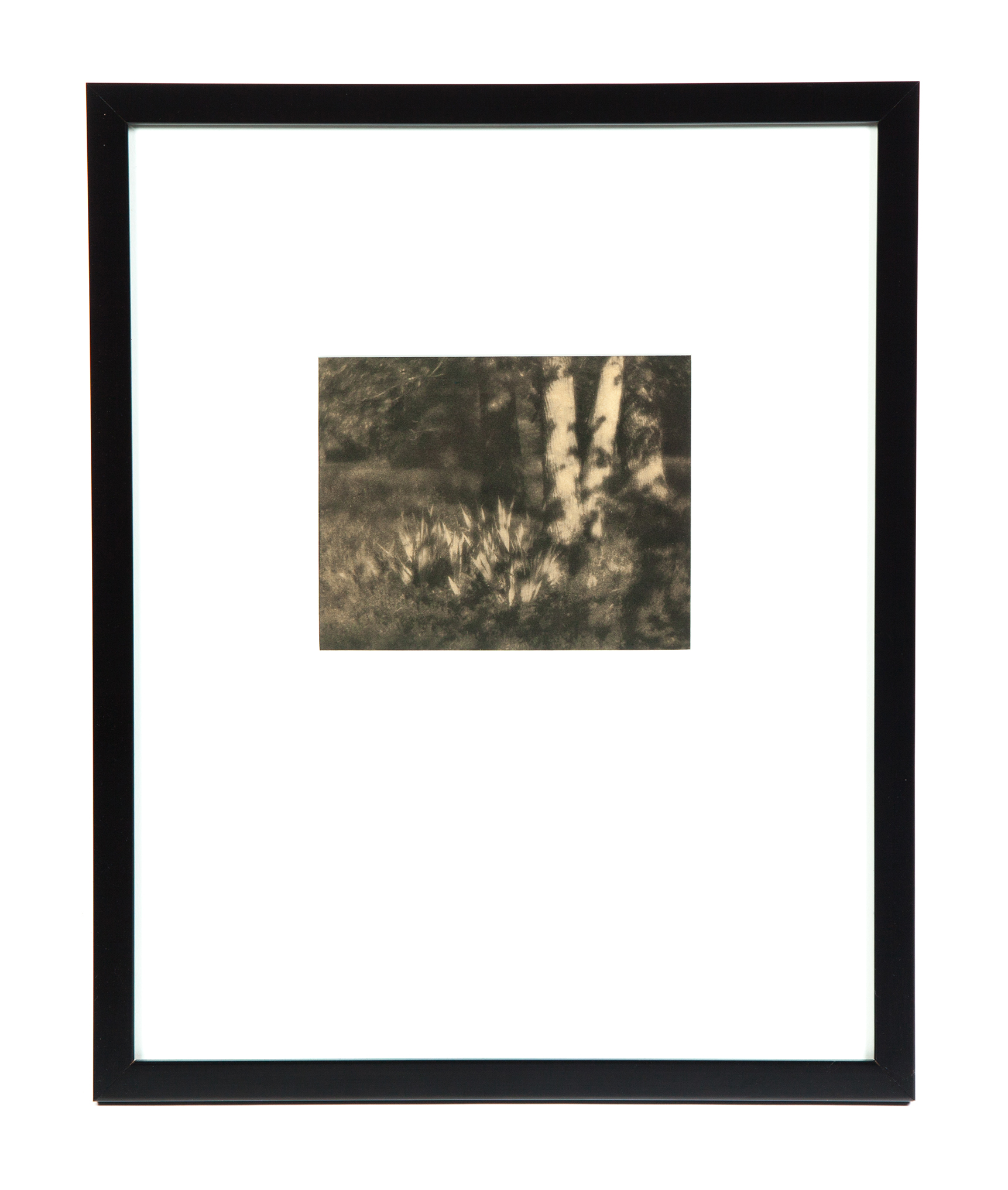 Appraisal: THE GARDEN BY MOONLIGHT COBURN Early th century Photogravure as