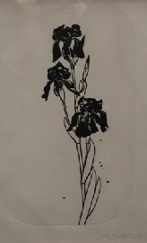 Appraisal: David Rose born Iris etching signed titled dated and editioned