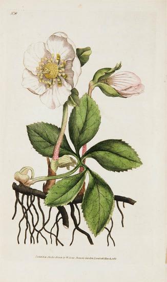 Appraisal: CURTIS William - Botanical Magazine or Flower-Garden Displayed London printed