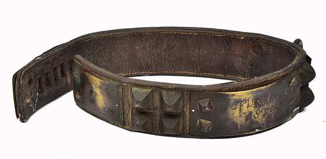 Appraisal: A LEATHER AND BRASS STUDDED DOG COLLAR labelled 'W Spurrett