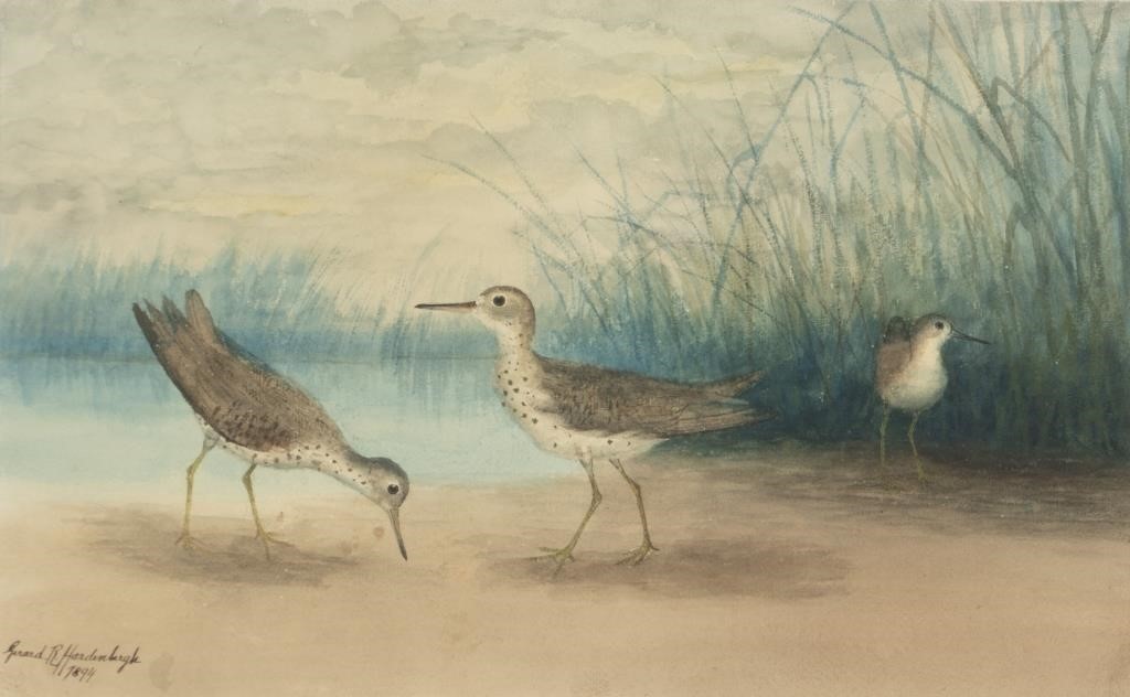 Appraisal: Three Sandpipers signed Gerard R Hardenbergh lower left watercolor by