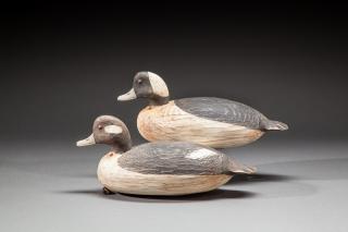 Appraisal: Oversize Bufflehead Pair by Delbert Cigar Daisey b Oversize Bufflehead