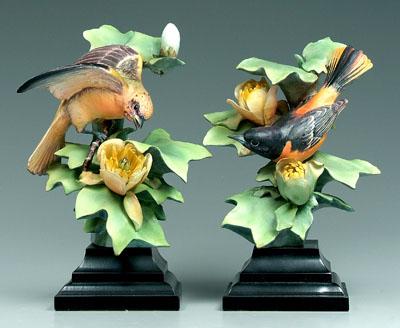 Appraisal: Two Doughty bird figurines male and female Baltimore orioles in