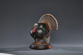 Appraisal: One-Quarter-Size Turkey in StrutEddie Wozny b Cambridge MD in tallSigned