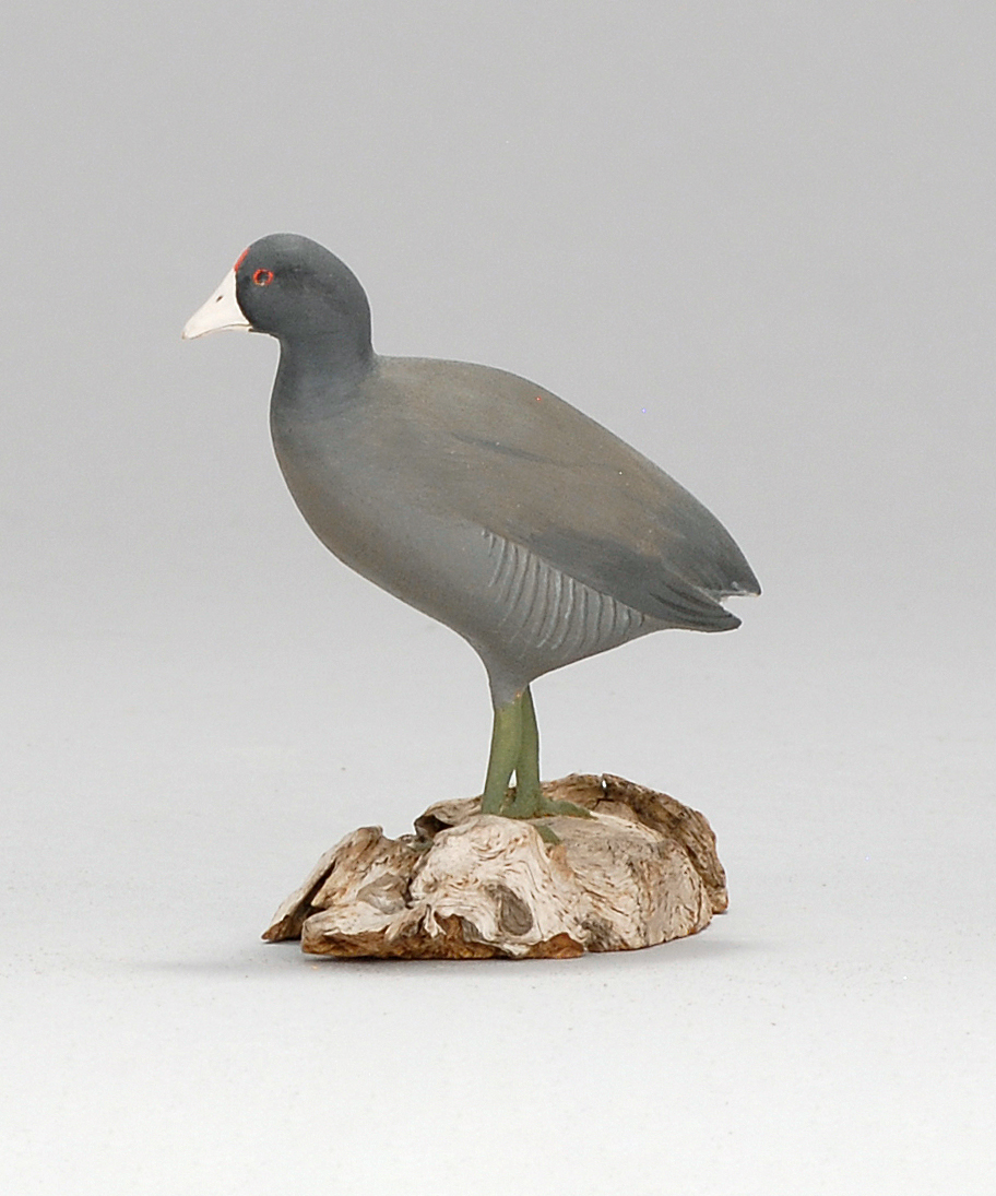 Appraisal: MINIATURE FRESHWATER COOT By Harold Gibbs of Barrington Rhode Island