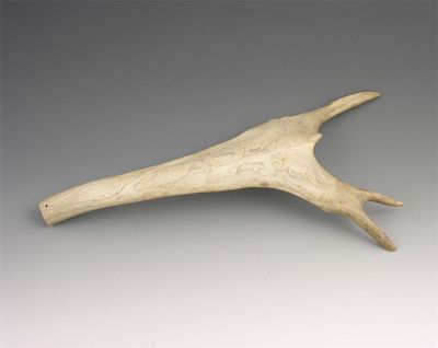 Appraisal: A carved elk antler with various animals and birds including