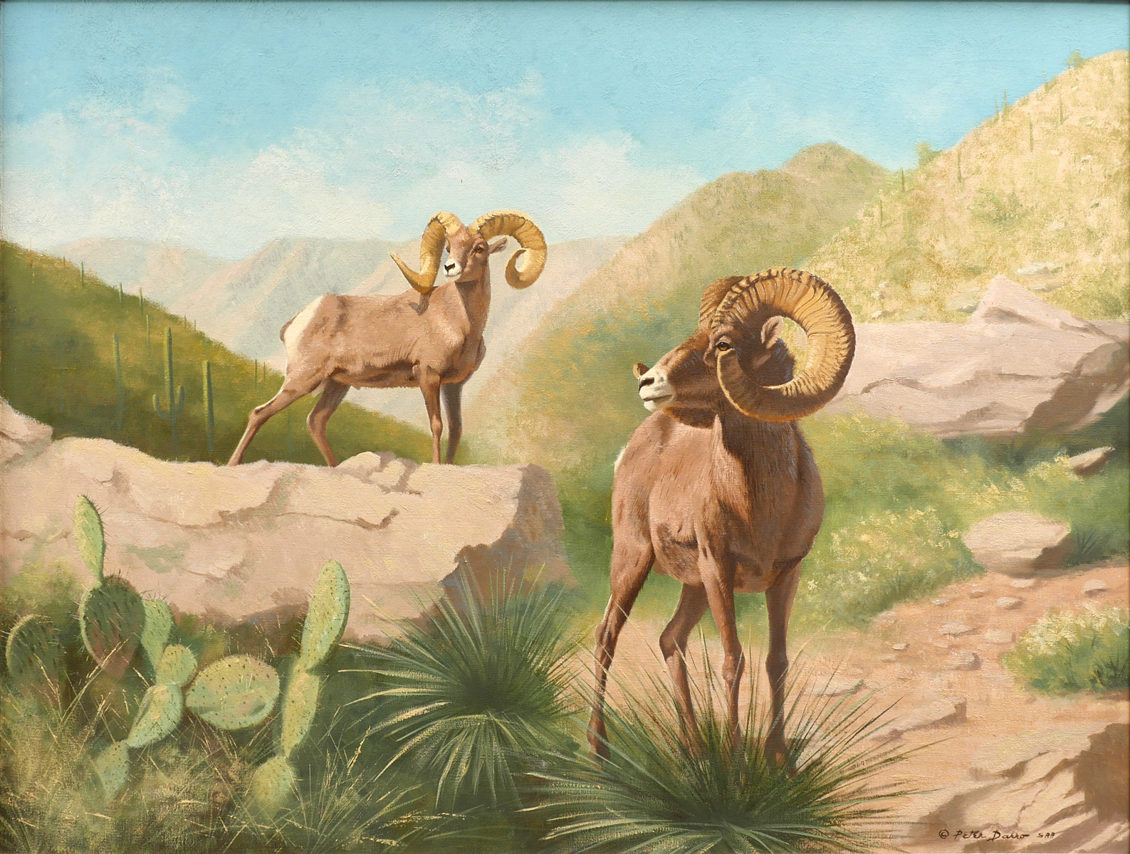 Appraisal: DARRO Peter American - Two Big Horn Mountain Goats in