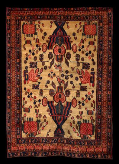 Appraisal: Bakhtiari Carpet ' x '