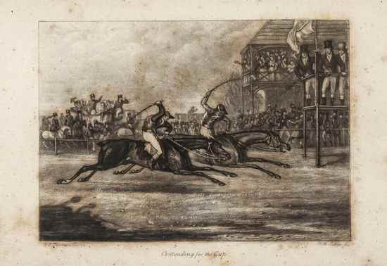 Appraisal: Anecdotes on the Origin and Antiquity of Horse-Racing first edition