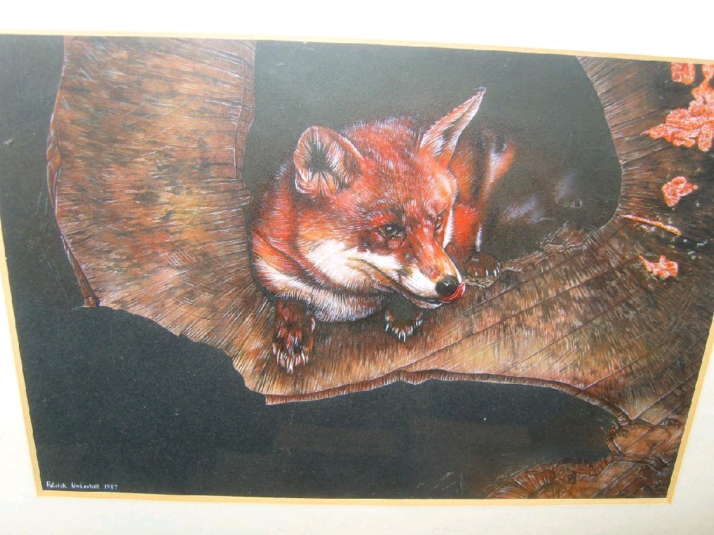 Appraisal: An acrylic study of a fox hiding in a tree