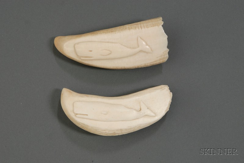 Appraisal: Two Relief Carved Whale's Teeth each tooth carved with a