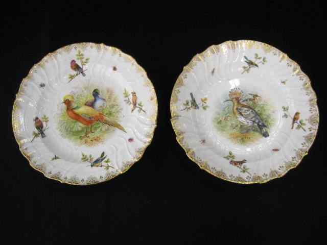 Appraisal: Pair of KPM Porcelain Bird Plates handpainted birds insects fauna