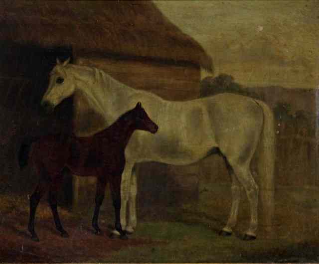 Appraisal: M Clifton Mare and Foal signed oil on canvas cm