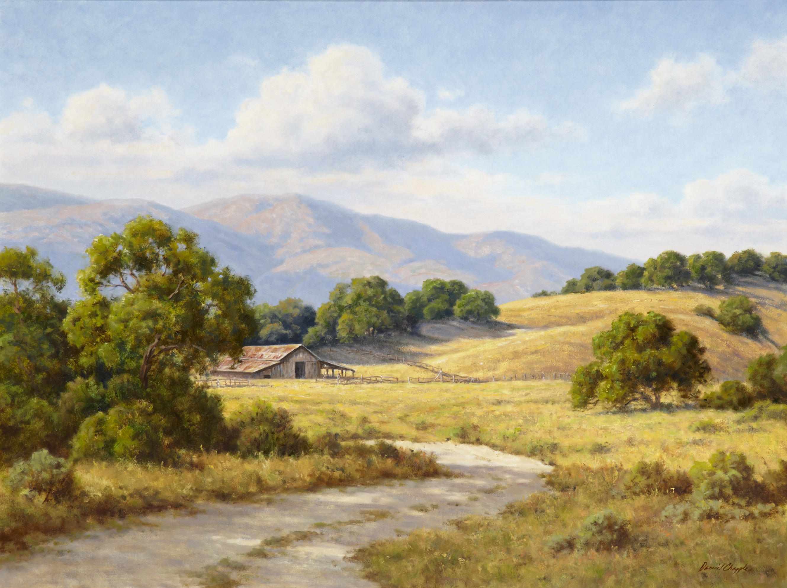 Appraisal: David Chapple American born Summer shadows signed 'David Chapple' lower