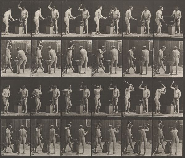 Appraisal: EADWEARD MUYBRIDGE ENGLISH - x image x sheet Animal Locomotion