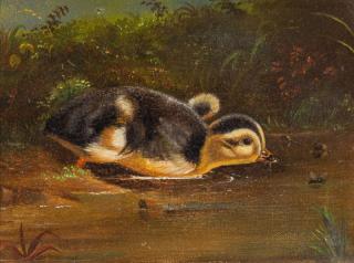 Appraisal: Duckling Painting Ducklingoil on canvas by in possibly the work