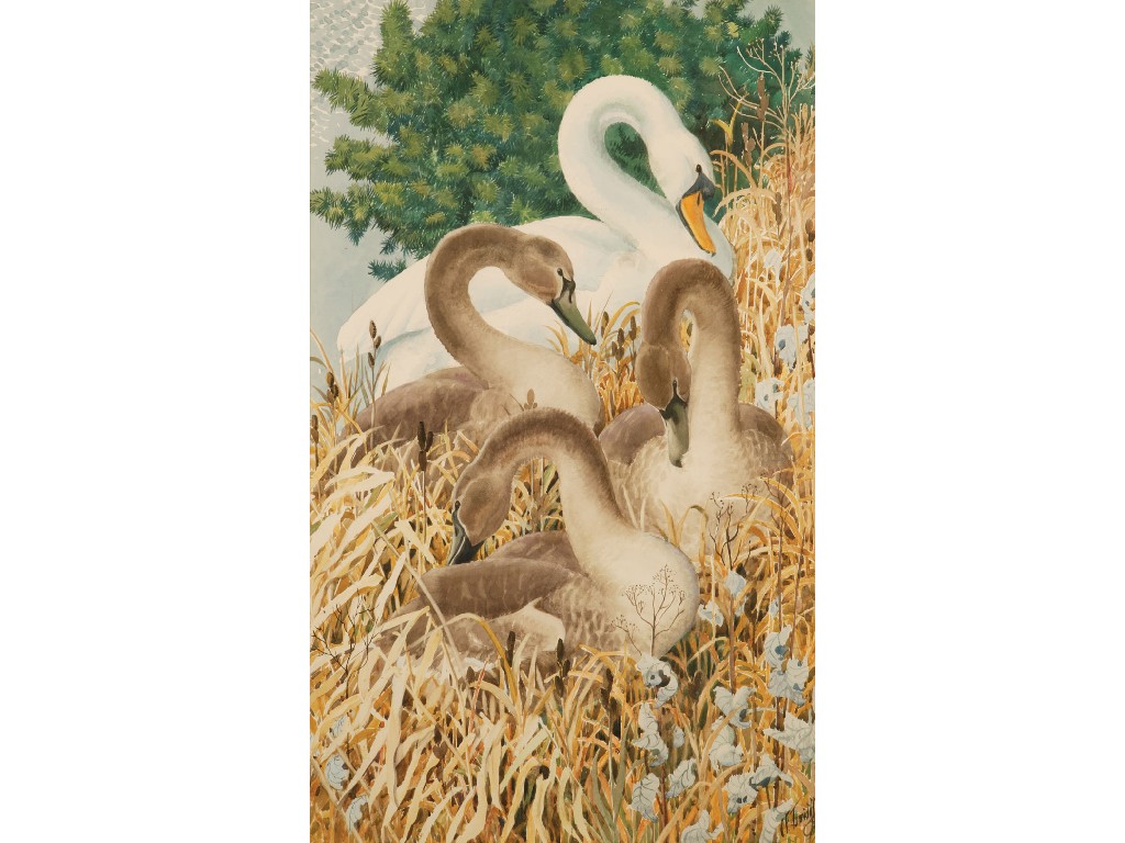 Appraisal: CHARLES F TUNNICLIFFE RA Preening in the Sedges signed and