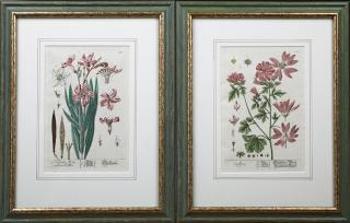 Appraisal: Johann Theodor Debry - Oleander and Alcea th c pair