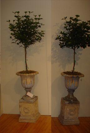 Appraisal: PAIR OF TERRACOTTA URNS in tall each impressed J M