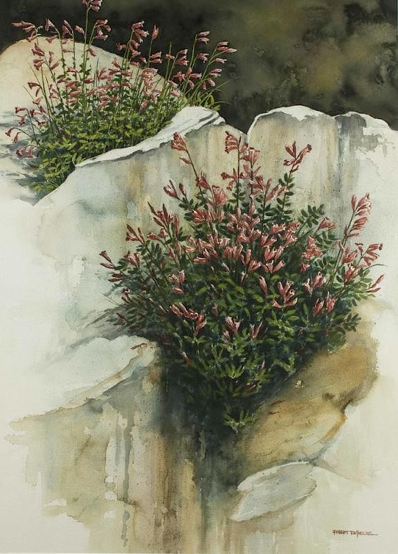 Appraisal: Robert Reynolds Watercolor Sierra Penstemon Framed Robert Reynolds b watercolor