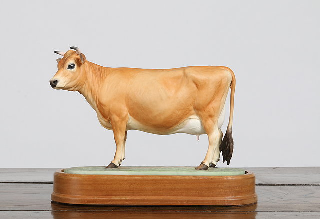 Appraisal: A ROYAL WORCESTER PORCELAIN MODEL OF A JERSEY COW by