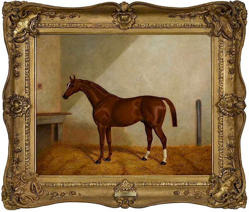 Appraisal: Harry Hall British - Chestnut Thoroughbred Racehorse Stockwell in a