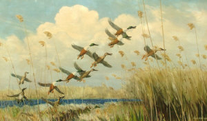 Appraisal: After Sir Peter Markham Scott - - Mallards in flight