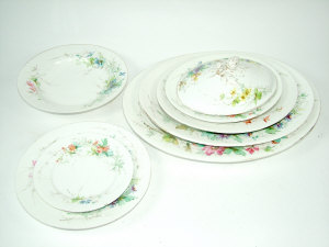 Appraisal: W G C part dinner service painted with flowers and