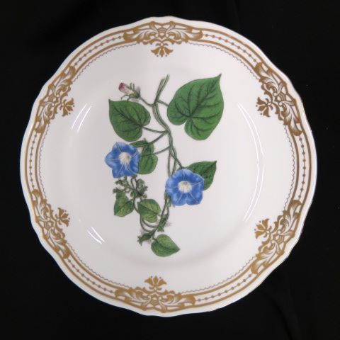 Appraisal: Andrea Porcelain Botanical Plates gold border excellent