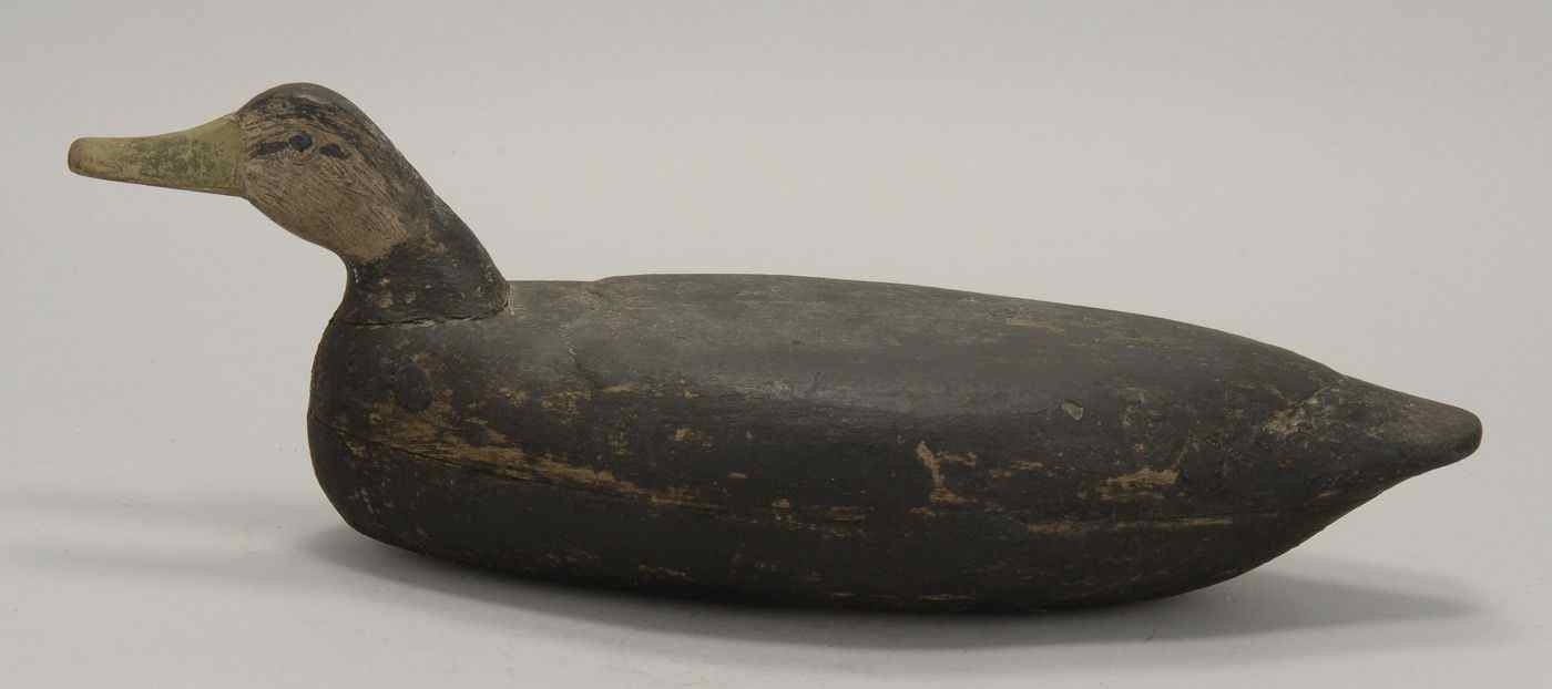 Appraisal: HOLLOW-CARVED BLACK DUCK DECOYFrom New Jersey Attributed to Bowen Old