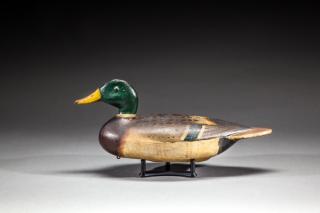 Appraisal: Mallard Drake by William T Billy Shaw Mallard DrakeWilliam T