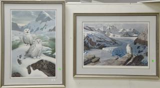 Appraisal: Two framed prints including Snow Owls numbered lower left and