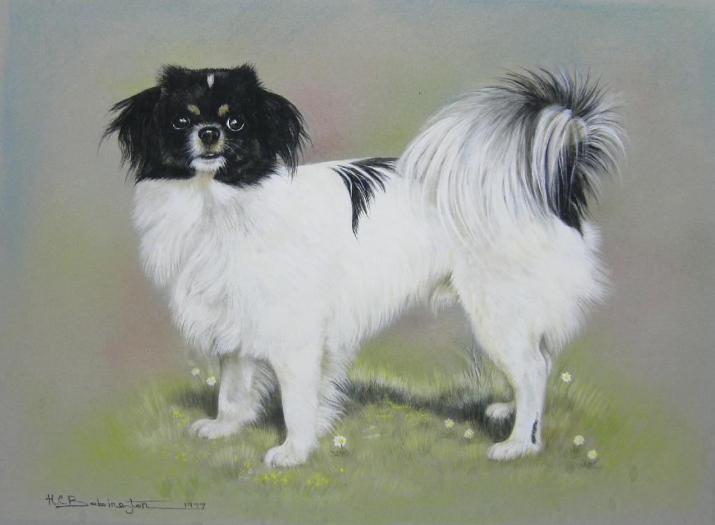 Appraisal: H C BABINGTON A Canine Friend signed and dated watercolour