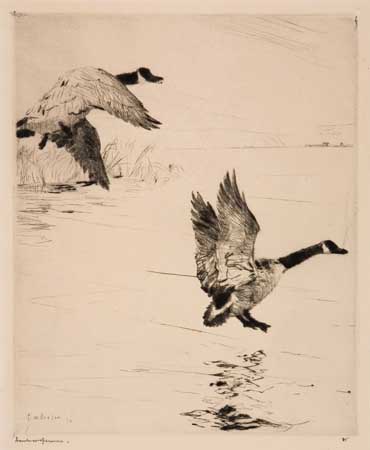 Appraisal: FRANK W BENSON Geese Alighting Drypoint x mm x inches