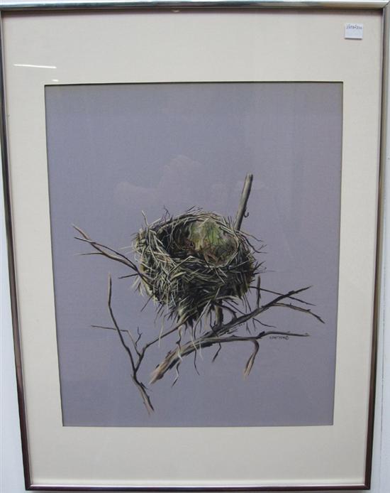 Appraisal: PATTEN STEPHEN AMERICAN TH C Woodthrush Nest Signed twice Framed