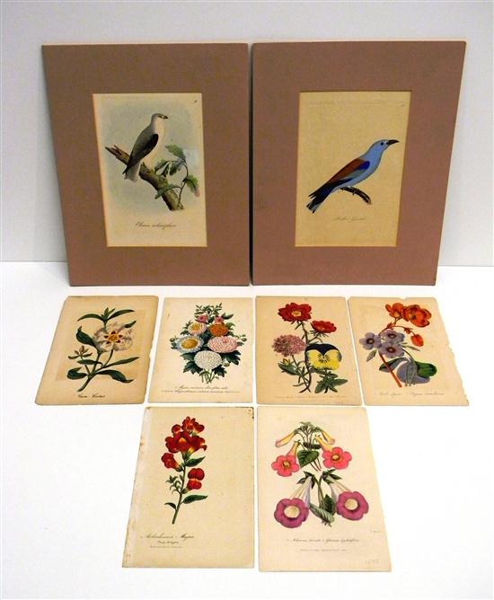 Appraisal: Prints six floral unframed '' x '' two birds matted