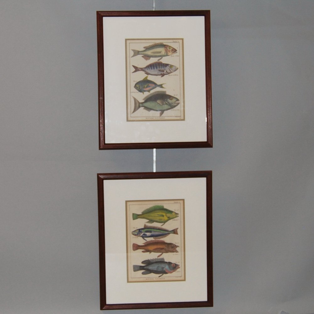 Appraisal: Pair of Plates Depicting Fish from Histoire Naturelle titled Planche