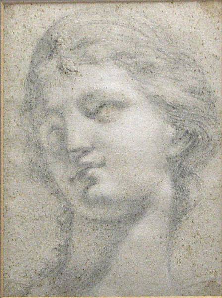 Appraisal: Italian School th Century A head of a woman facing