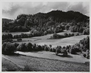 Appraisal: Photograph Edward Weston Edward Weston American - Eel River Ranch