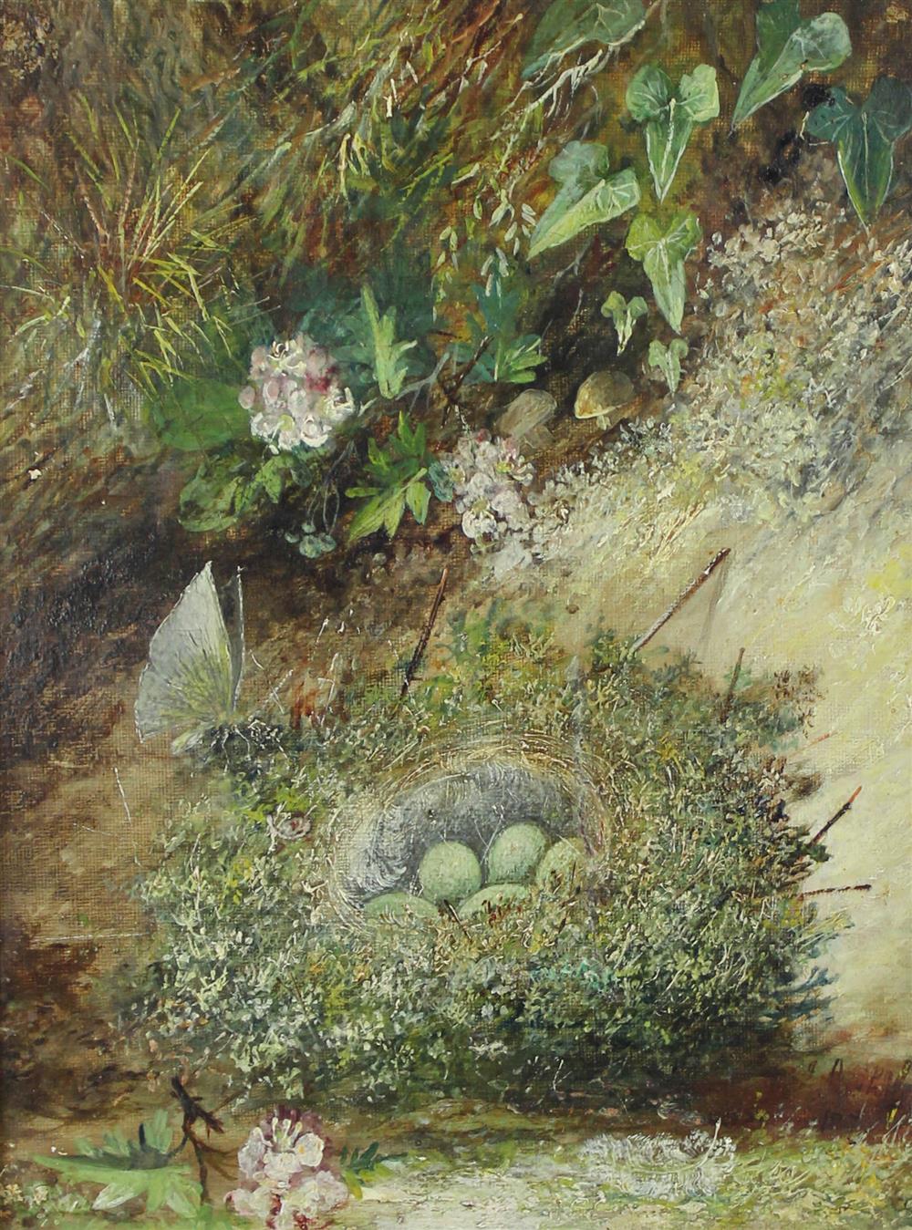 Appraisal: CONTINENTAL SCHOOL TH CENTURY STILL LIFE WITH NEST AND BUTTERFLY