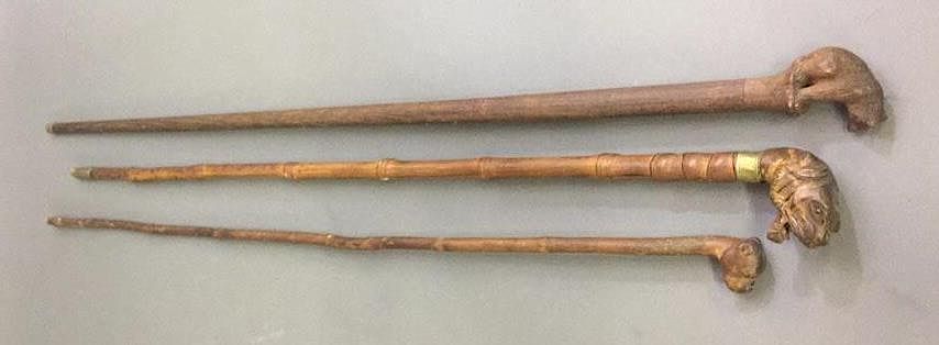 Appraisal: Three Carved Animal Head Canes Three carved animal head canes